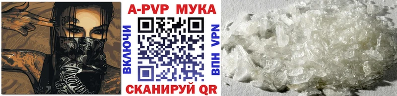 А ПВП крисы CK где найти Губаха