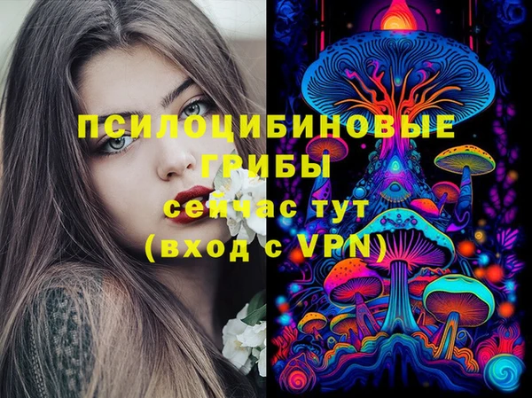 синтетический гашиш Балахна