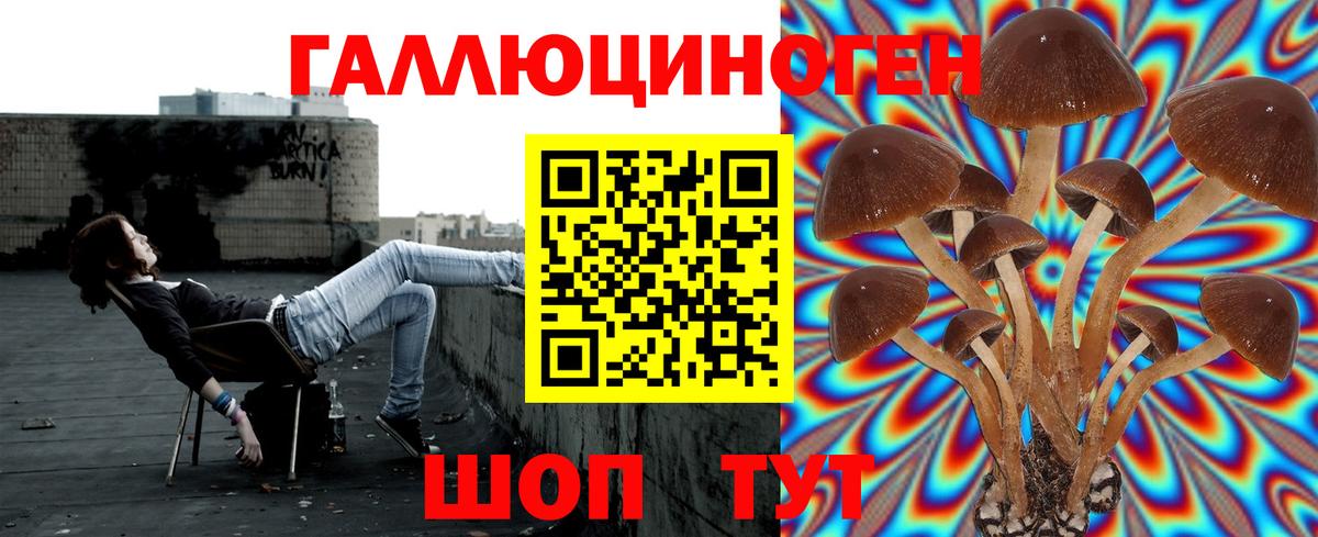 Псилоцибиновые грибы прущие грибы Губаха