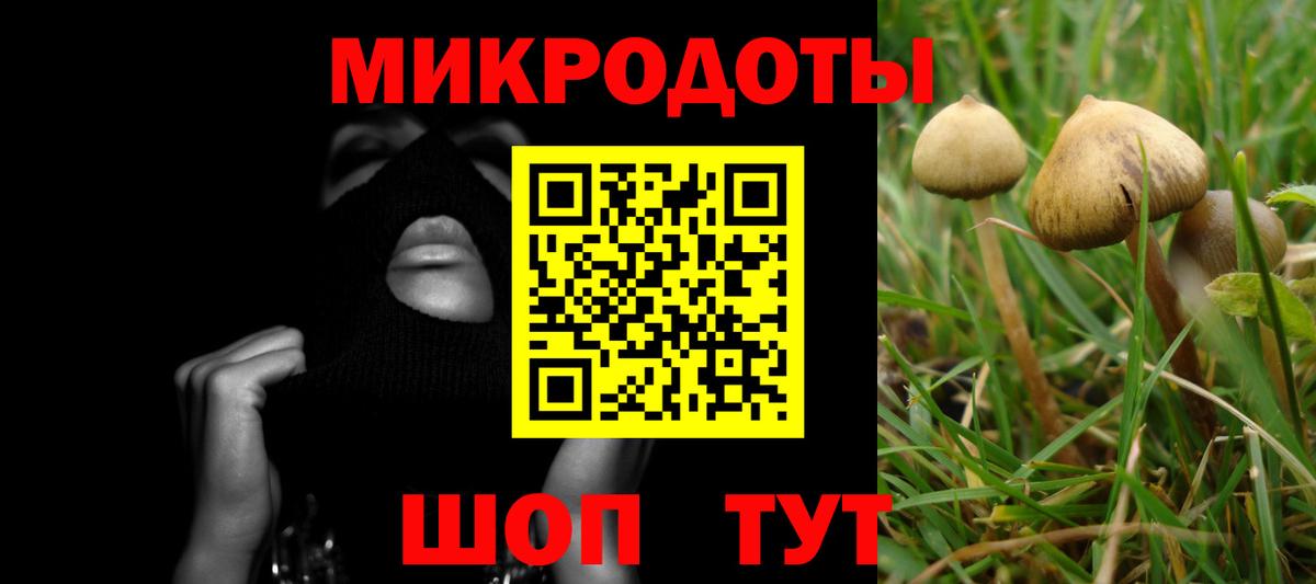 Псилоцибиновые грибы Magic Shrooms  Галлюциногенные грибы Cubensis  Вход с VPN  Губаха 